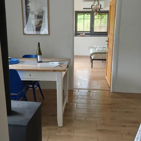 Ve Svinne * Svinna (Usti nad Orlici)