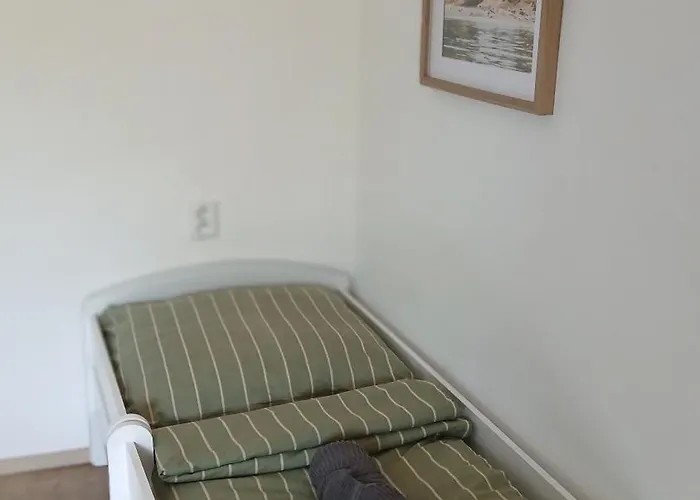 Ve Svinne Svinna (Usti nad Orlici)